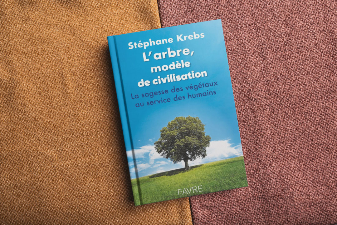 arbre-modele-de-civilisation